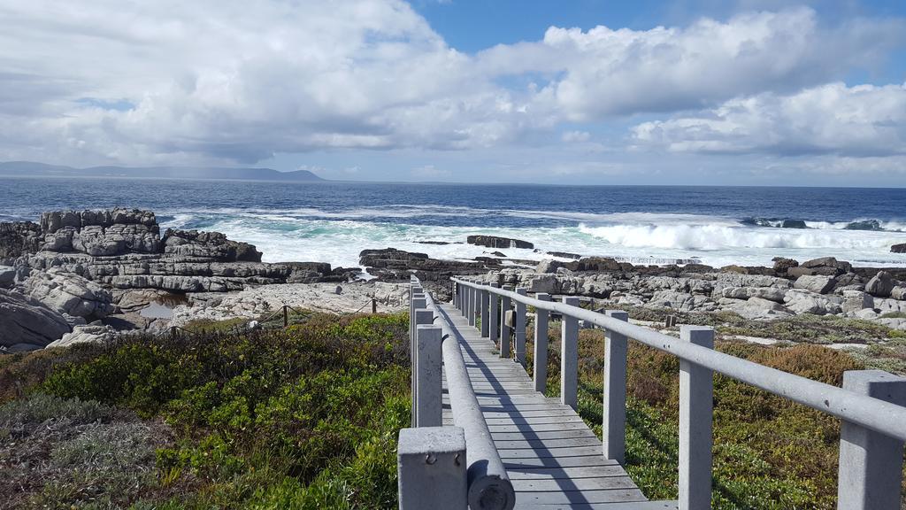 Whale View Self Catering Apartment Hermanus Dış mekan fotoğraf