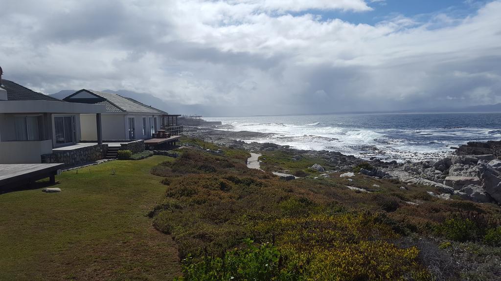 Whale View Self Catering Apartment Hermanus Dış mekan fotoğraf